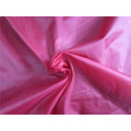 20d Nylon Taffeta Fabric for Down Coat (XSN005)